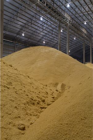 raw sugar pile for many industrialの写真素材