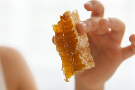 honeycomb in a child handの写真素材