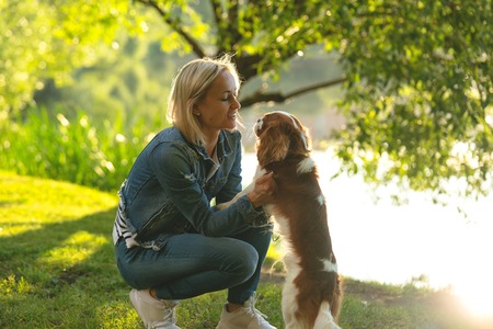 Beautiful young woman playing with her Dog in the Park in the autumnの写真素材