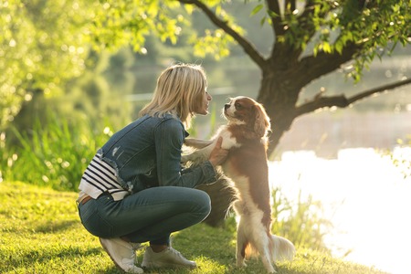 Beautiful young woman playing with her Dog in the Park in the autumnの写真素材