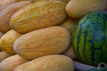 Watermelon and melon at a market placeの写真素材
