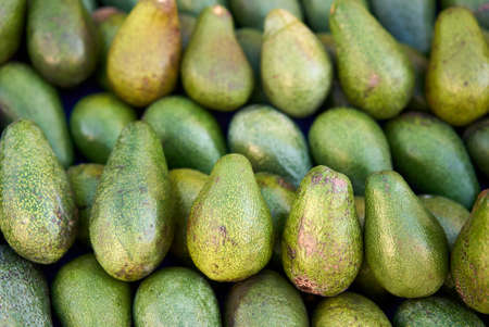 fresh avocado on the market. avocados are very nutritious and contain a wide variety of nutrientsの写真素材
