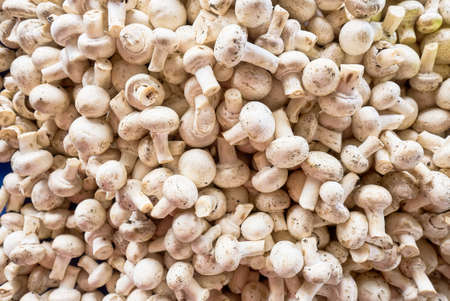Mushrooms for sale at market storeの写真素材
