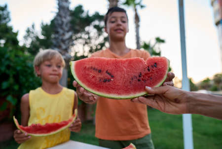 Sweet family, mother and her kids eating watermelon outdoor and having funの写真素材