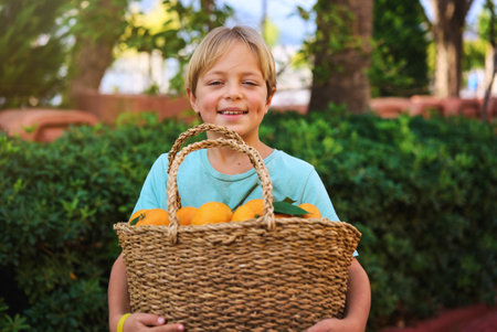 Cute caucasian boy wicker basket full of fresh orange fruitsの写真素材