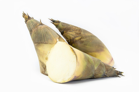 Bamboo shoot is raw material for cookingの写真素材