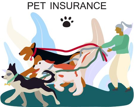 Female dog walker with dogs for pet insurance concept. Pet care banner, background, poster, concept. Flat cartoon style design. Vector illustration.のイラスト素材