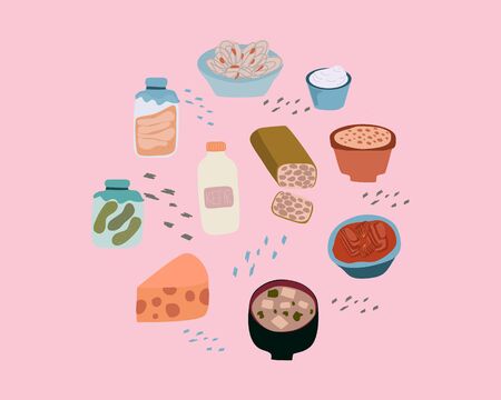 Gut healthy products for probiotics health benefits concept. Vector illustration in flat cartoon style. Kefir, Sauerkraut, Tempeh, Kombucha, Kimchi, Yogurt and Misoのイラスト素材