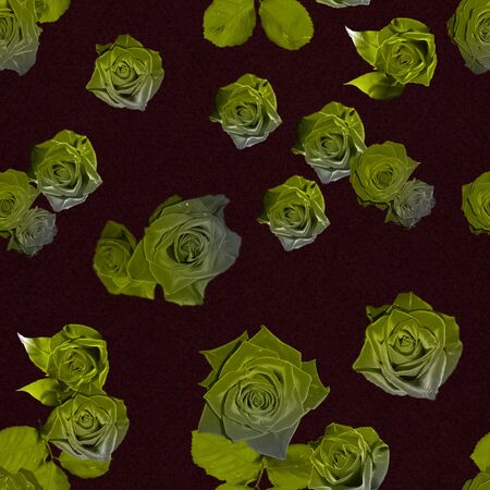 Chartreuse rose seamless pattern. Roses with green leaves on black background. Ornamental template for textile, backdrop, cover, print, card, banner, poster.の写真素材