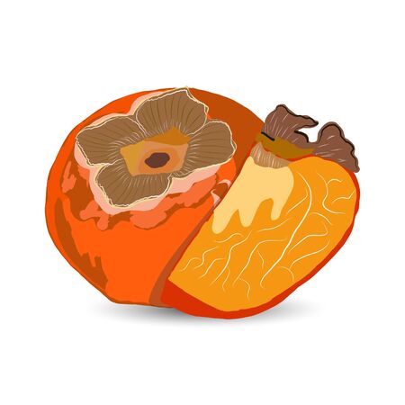 Juicy tropical sharon fruit sliced isolated on white background vector illustration. Orange persimmon whole and cut for design, banner, menu, poster, apparel.のイラスト素材