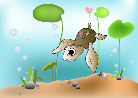 Illustration of a turtle scene underwaterのイラスト素材