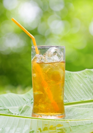 Glass of cold iced tea on Banana leaves ,outdoor.の写真素材
