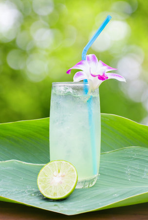 Lemon juice on the leaves ,outdoorの写真素材