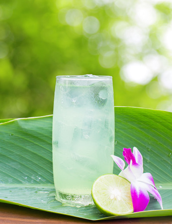 Lemon juice on the leaves ,outdoorの写真素材