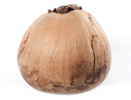 Ripe coconuts on white.