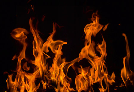 Fire flames on a black background