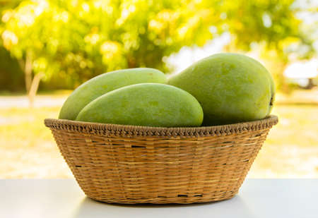mangoes in basket  in the summer garden. の写真素材
