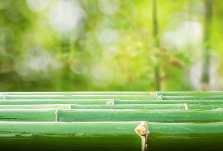 green bamboo background with bokeh.の写真素材
