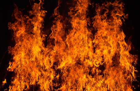 Fire flames on a black background