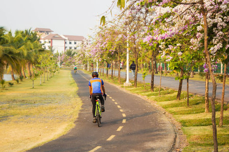 Cycling outdoors in park,In the morningの写真素材