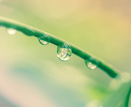 Close-up of a leaf and water drops on it backgroundの写真素材