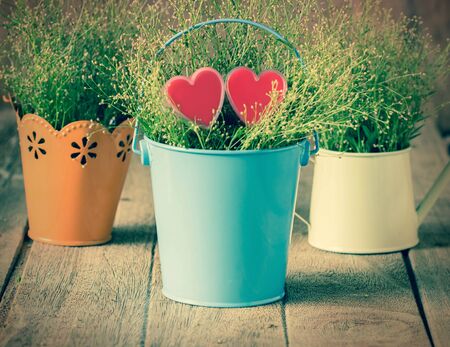 Valentines Day background with hearts shape and flower.の写真素材