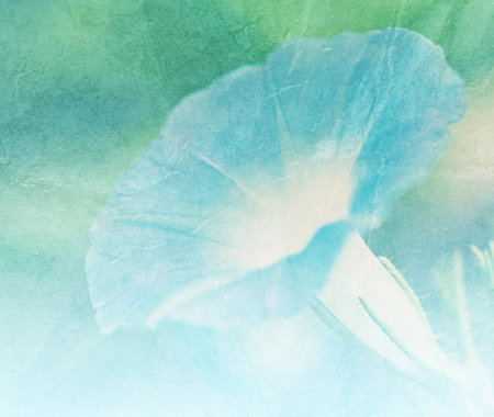 blue flower made with color filters,Paper texture.