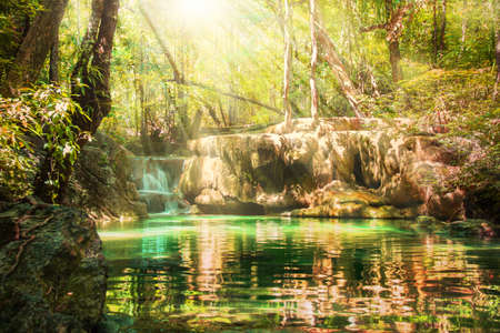 Tropical waterfall in rain forestの写真素材