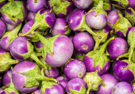 Eggplant purple from market in thailand.の写真素材