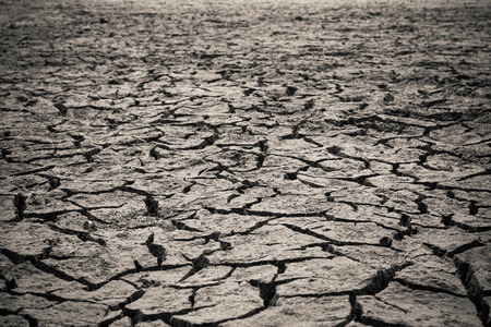 Cracked ground ,texture and backgroundsの写真素材