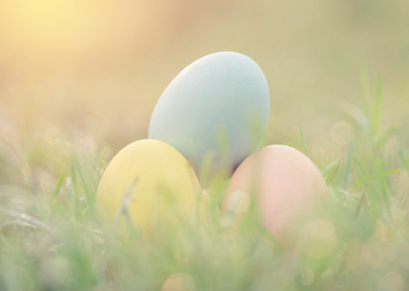 Easter eggs on green grass with dew drop in the morning.