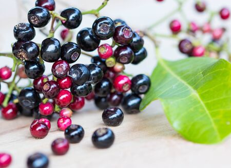 Jambolan plum on woodenbackground.の写真素材
