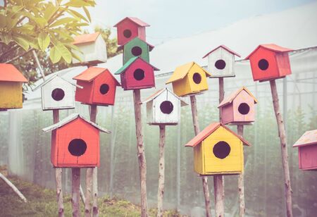 Vintage bird house in the farm.の写真素材