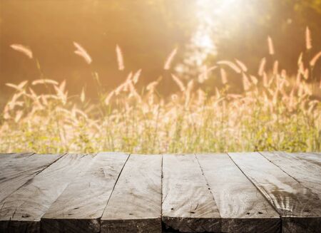 Empty wooden table and garden background.の写真素材