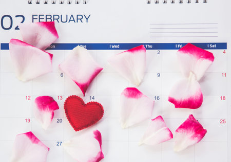 Valentines Day with hearts and rose on calender.の写真素材