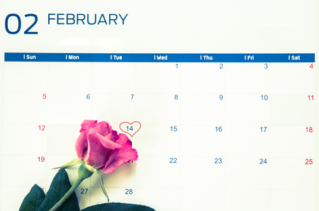 Valentines Day with hearts and rose on calender.の写真素材