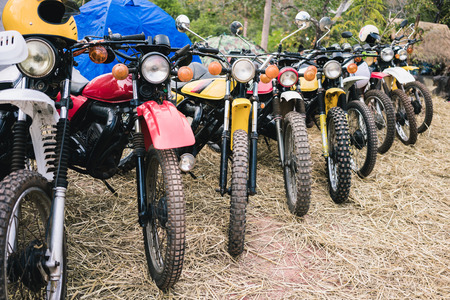 Vintage classic motorcycles in the park.の写真素材