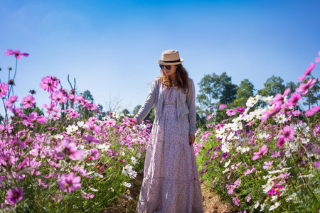 Beautiful happy asian woman enjoying in cosmos flower field.の写真素材