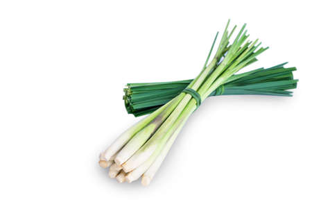 Lemon grass isolated on white background with clipping path.の写真素材