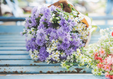 Beautiful bouquet of purple flowers with nature background.