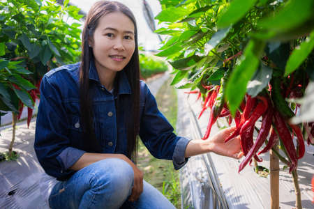 Portrait of asian female farmer smiling at the camera in a farm.の写真素材