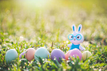 Little Bunny and easter eggs on meadow,Funny decoration,Happy Easter.の写真素材