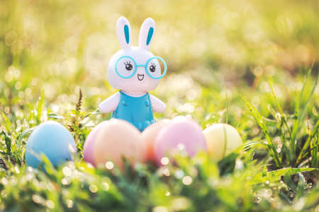 Little Bunny and easter eggs on meadow,Funny decoration,Happy Easter.の写真素材