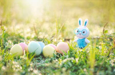 Little Bunny and easter eggs on meadow,Funny decoration,Happy Easter.の写真素材