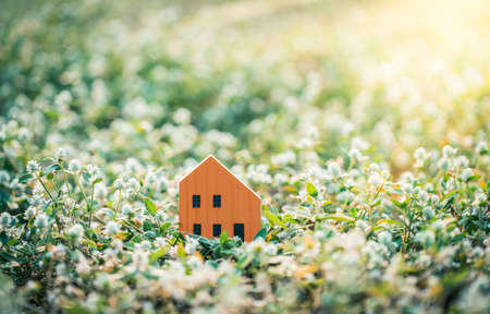 Orange house model in the meadow.の写真素材