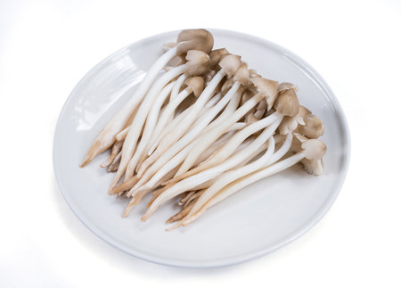 Termite mushroom,Termitomyces clypeatus Heim on a white plate.の写真素材