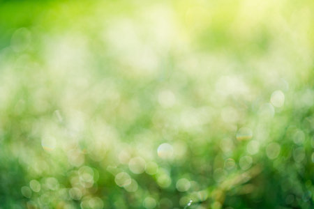 Green abstract blur beautiful bokeh light ,Summer sunlight and a copy space background.の写真素材