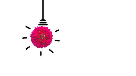 Idea light bulb with flower on white background., innovation and Inspiration.の写真素材