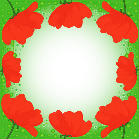 Postcard with several red poppies on green background, hand drawing vector illustrationのイラスト素材