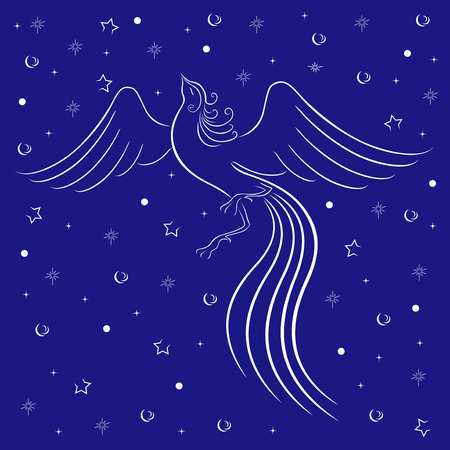 Graceful firebird white contour on blue background with many stars  Hand drawing vector illustrationのイラスト素材